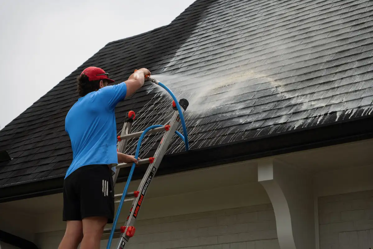 Roof soft wash — algae & black streaks removed